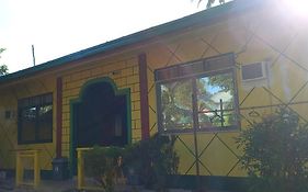 Rodel Yellow Hauz